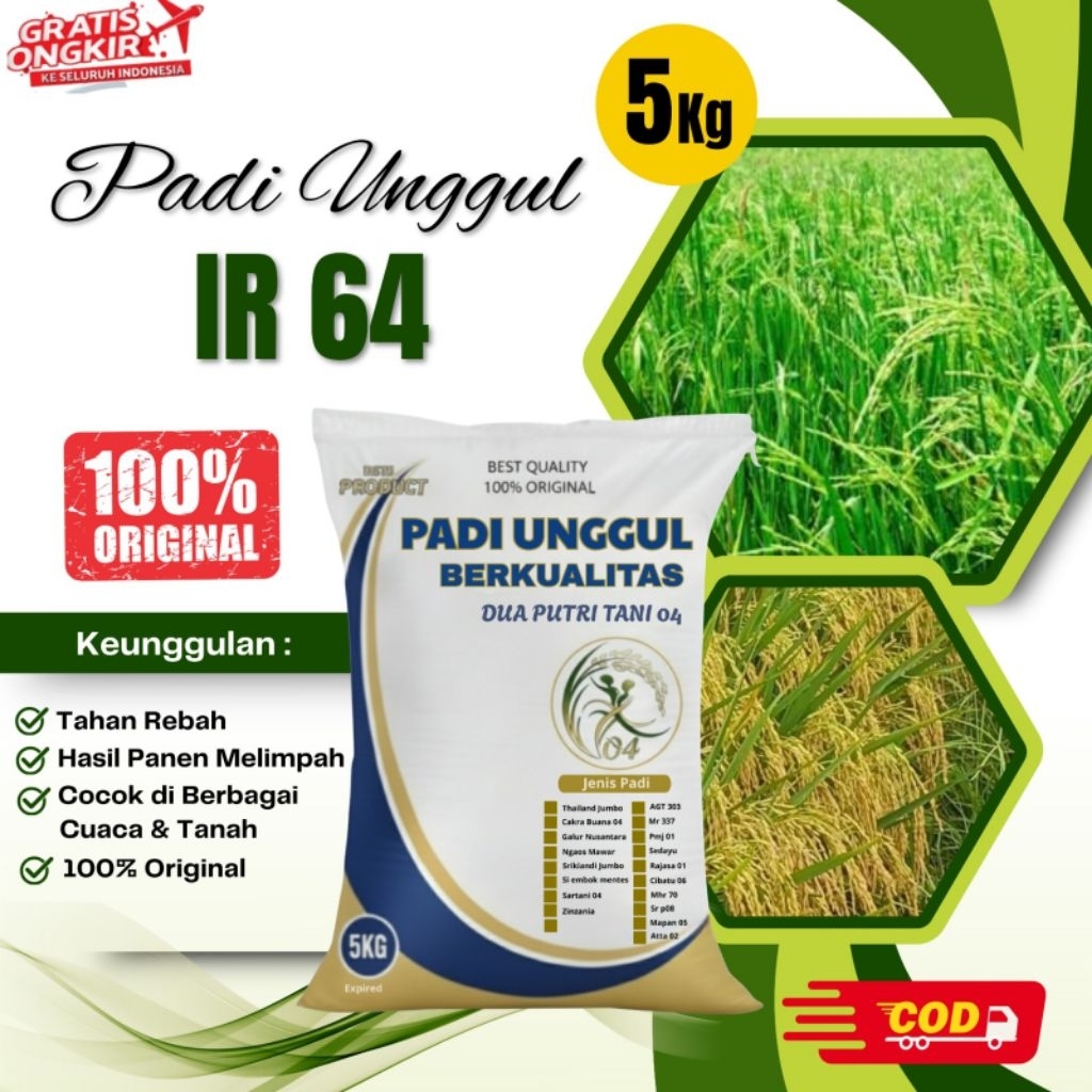BIBIT PADI IR 64 KEMASAN 5KG
