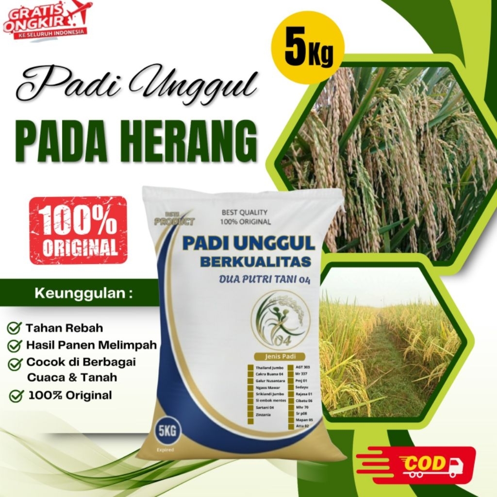 BIBIT PADI PADAHERANG KEMASAN 5KG