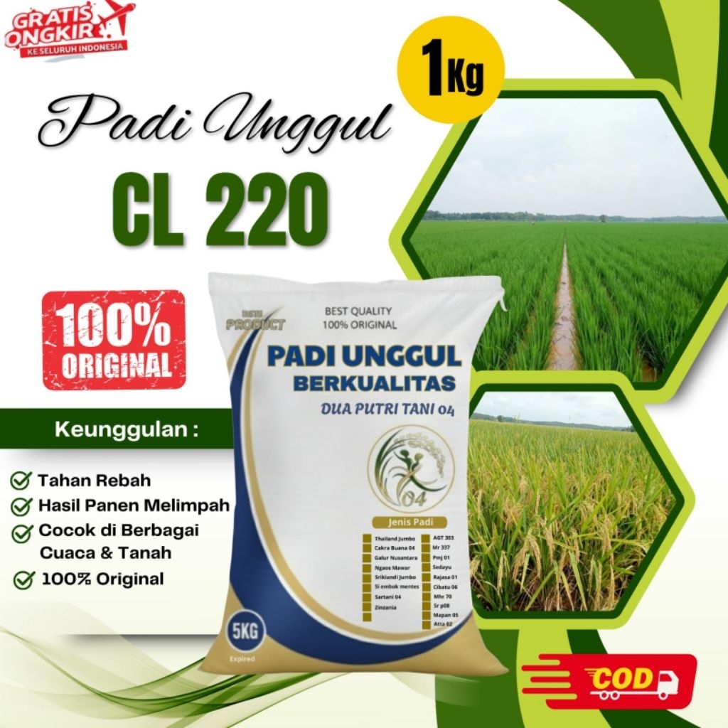 BIBIT PADI CL220 KEMASAN 5KG