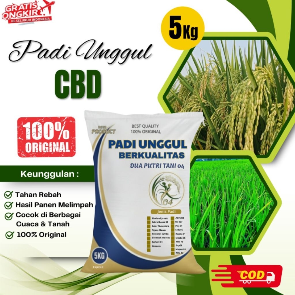Benih padi unggul CBD 04 kemasan 5Kg