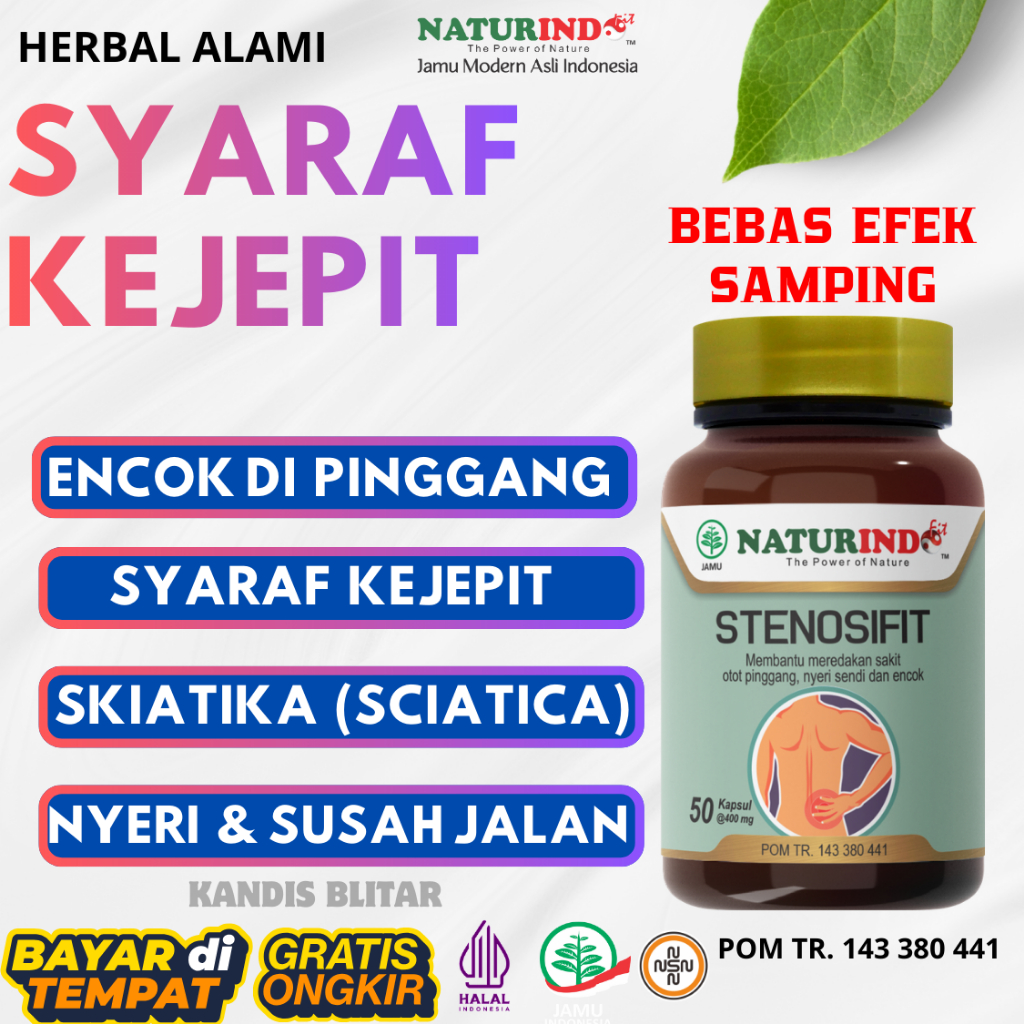 Stenosifit Obat Herbal Naturindo Original Isi 50 Kapsul