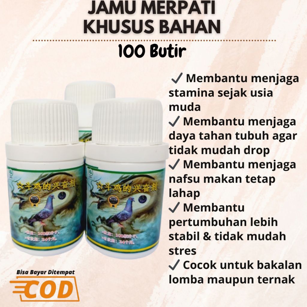 DOPING BURUNG MERPATI KOLONG (BAHAN SIAP LATIH)