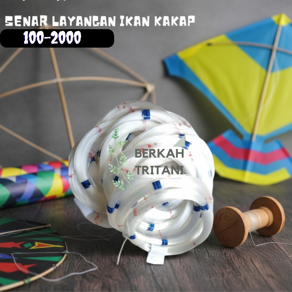 SENAR LAYANGAN IKAN KAKAP UKURAN 100- 2000
