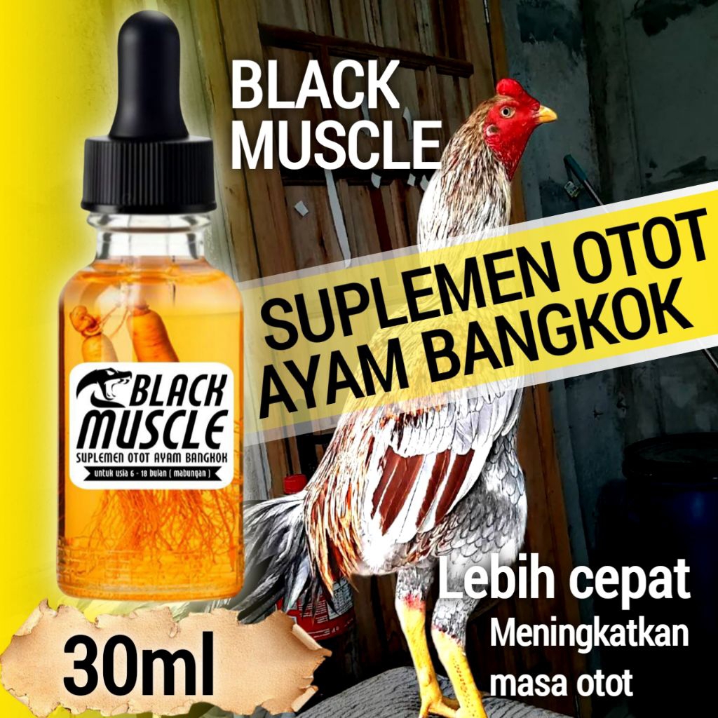 Vitamin otot ayam Bangkok