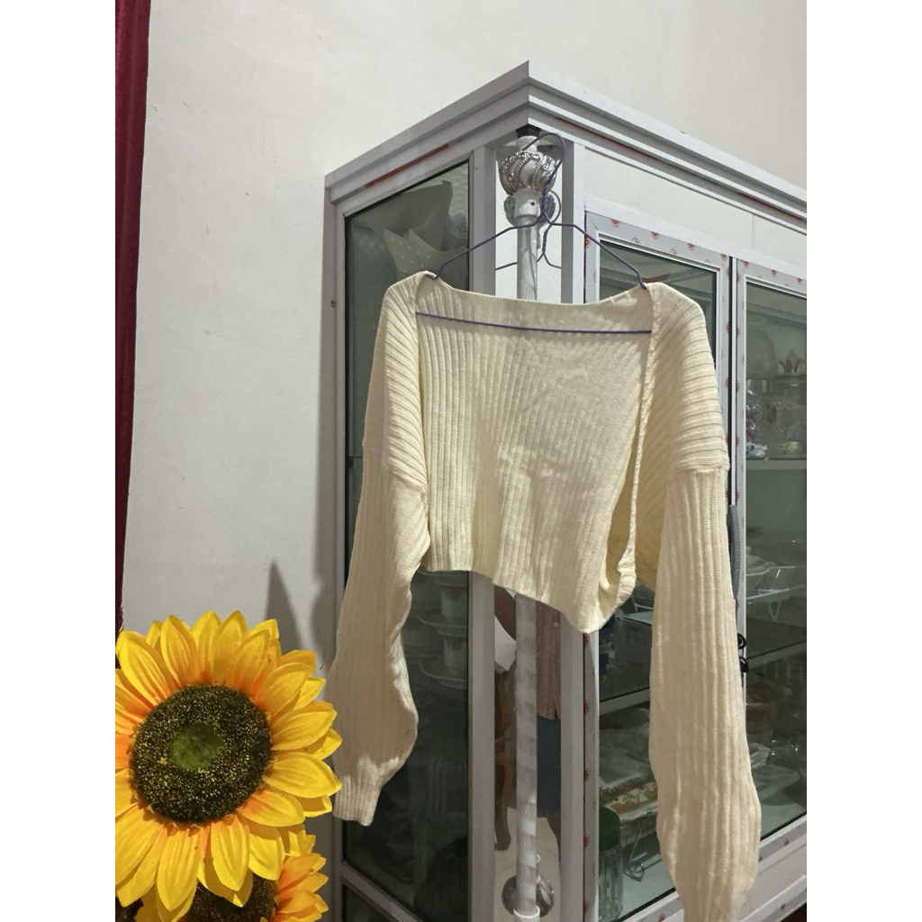 Preloved cardigan crop