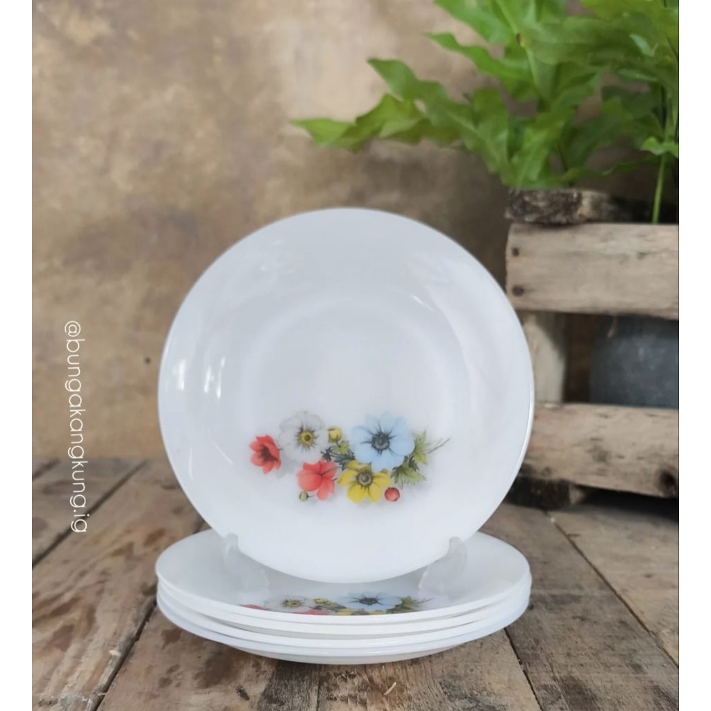 Piring Arcopal France ±19cm