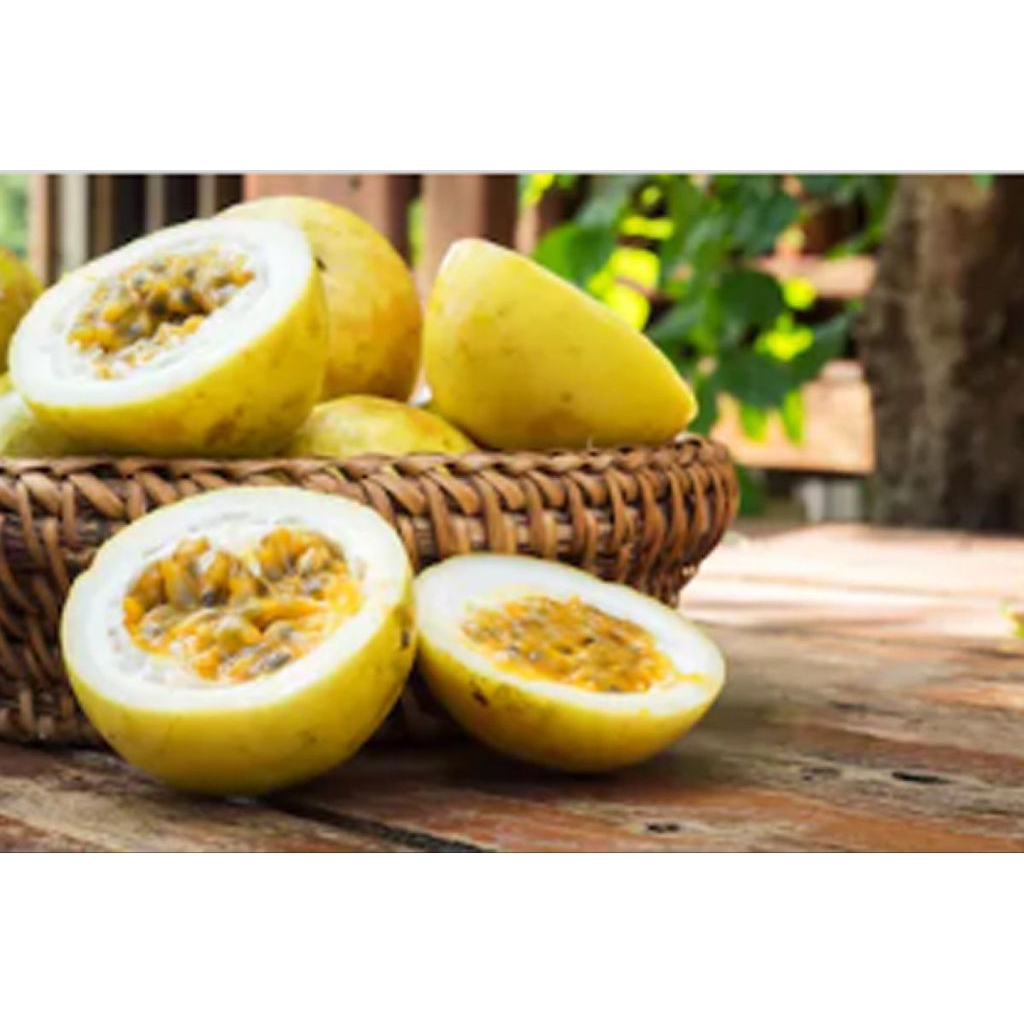 buah markisa segar/ BUAH markisa asam manis segar1kg