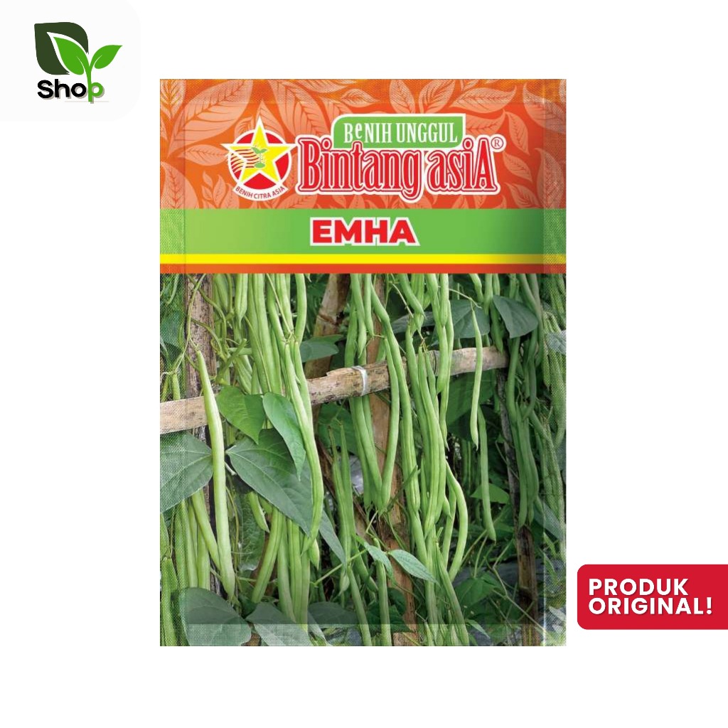 Benih Bibit Buncis Emha 500gram