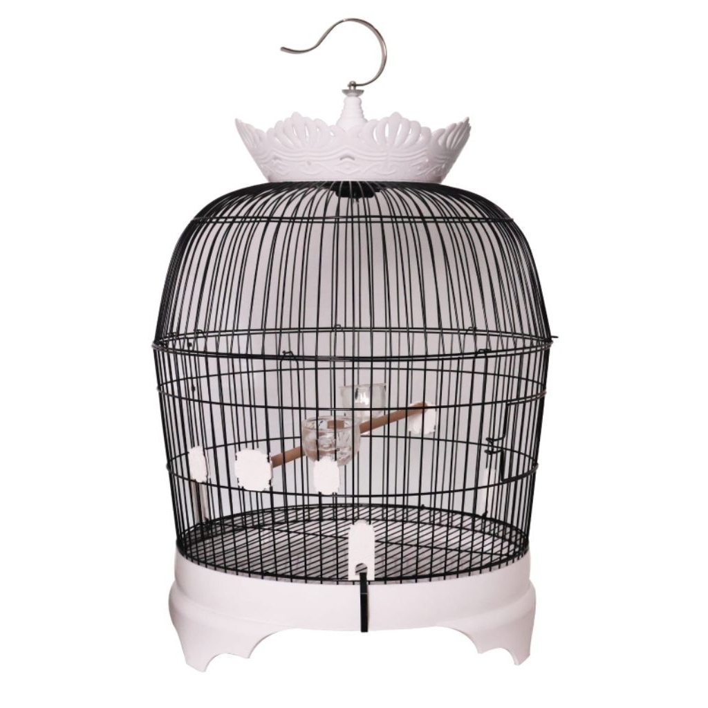 sangkar puter & perkutut besi.