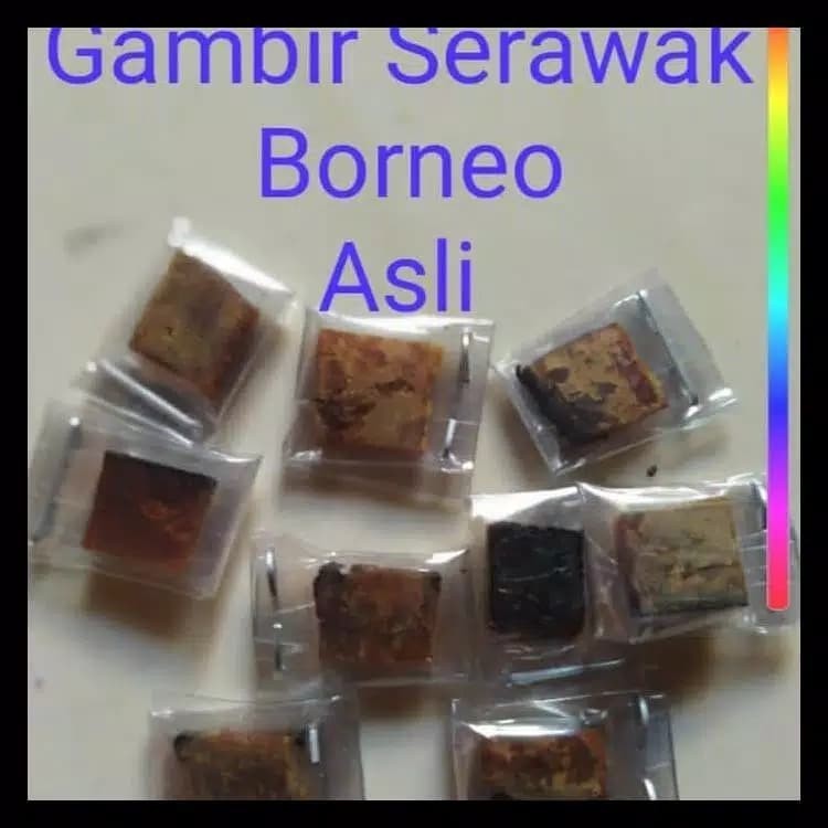 gambir serawak asli 100 persen