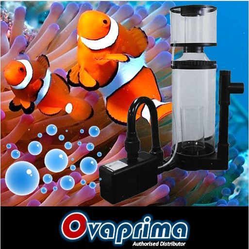 Jebo 520 Aquarium Protein Skimmer lengkap dengan Pompa Air