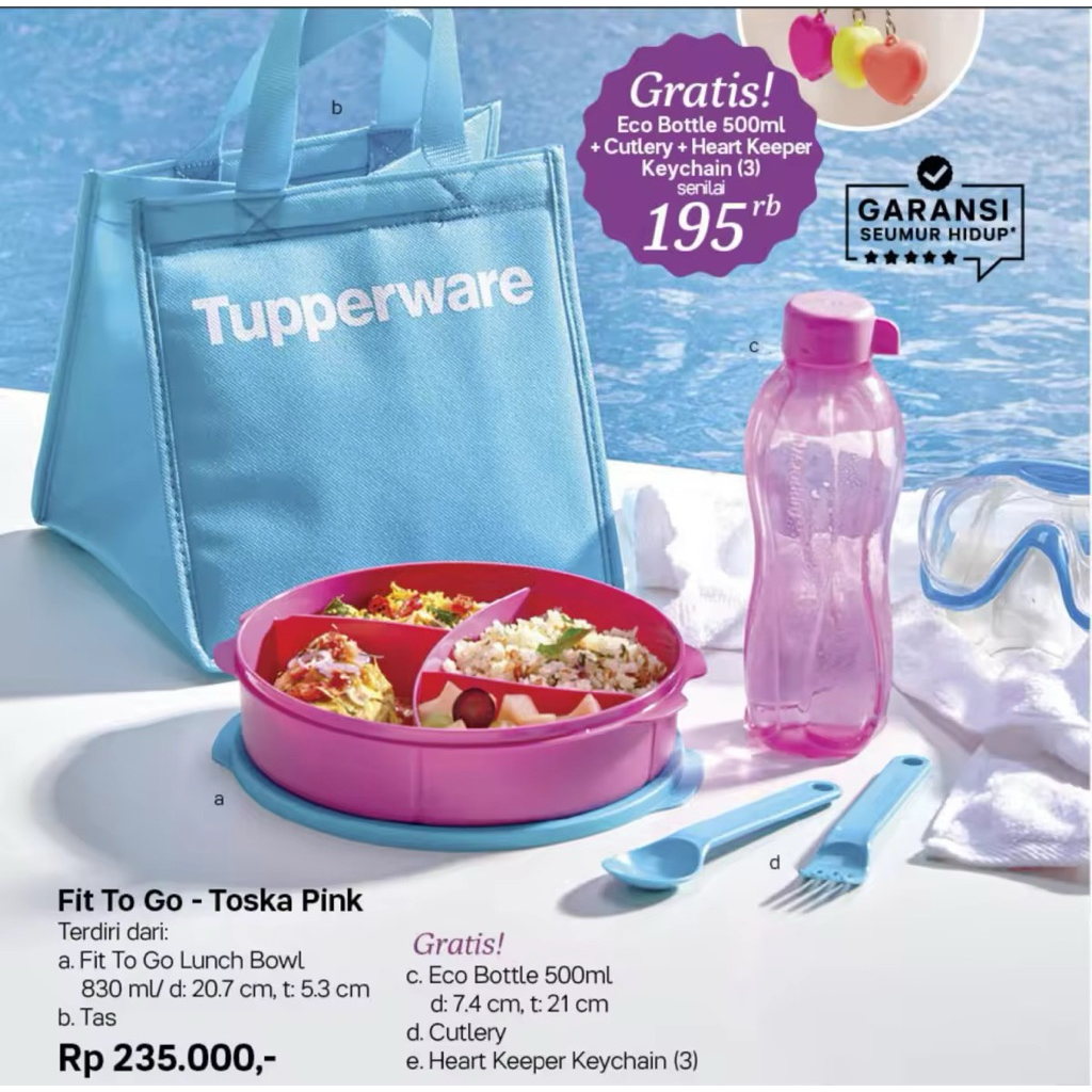 Tupperware Set Fit To Go Tosca + Eco Bottle [NEW]