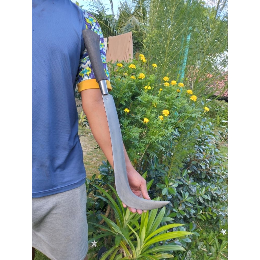 GORIT/PelongGalahPemetikSawit