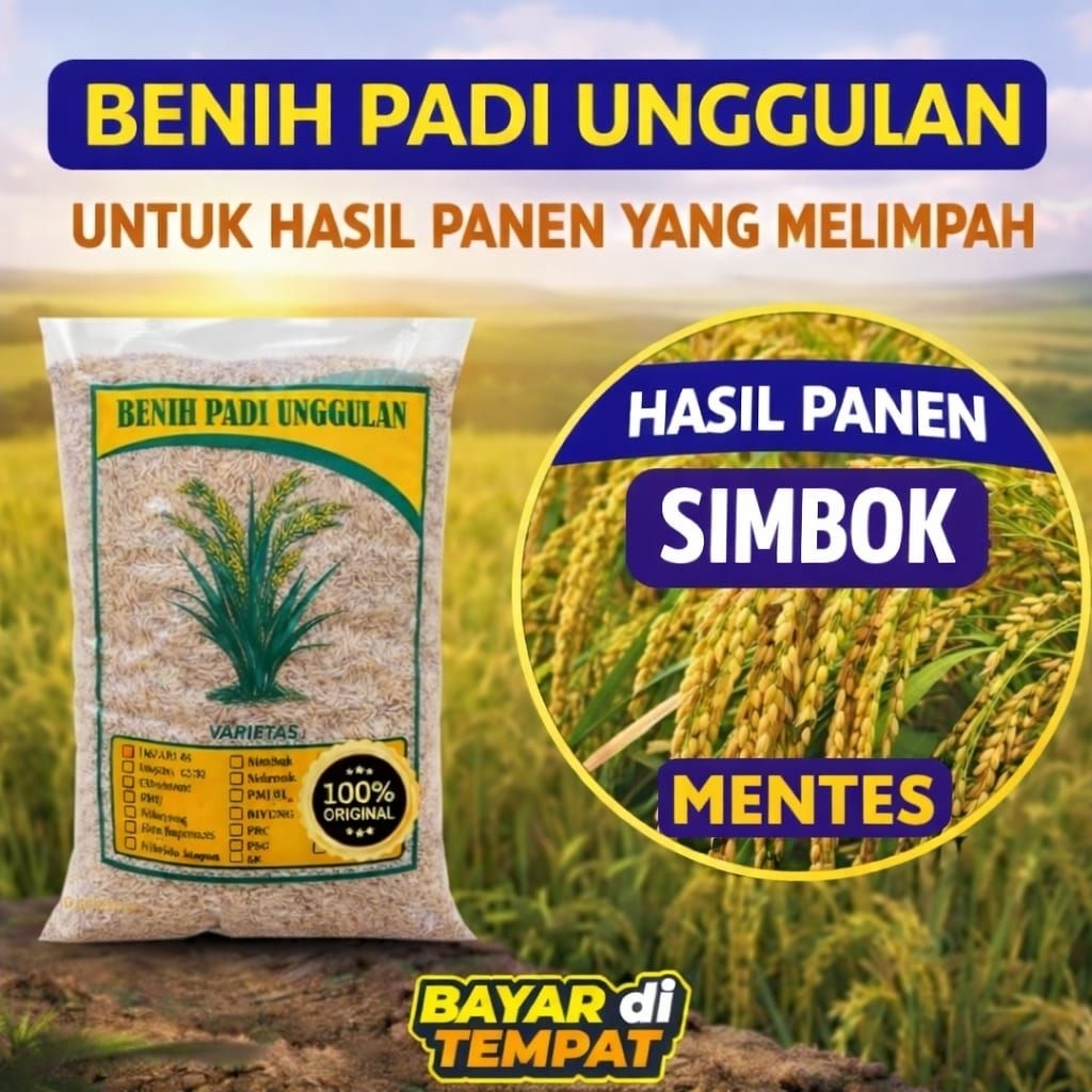 Benih bibit padi  simbok Mentes kemasan 5Kg