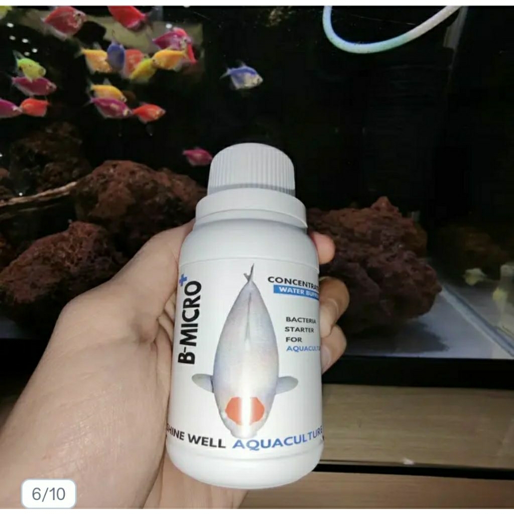 100ml Bmicro+Bakteri Starter Untuk Ikan Koi, menghilangkan Amonia