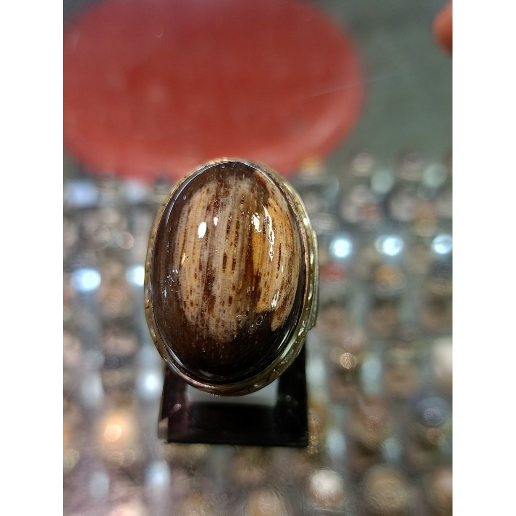 Cincin batu  Fosil Kelor (Natural)
