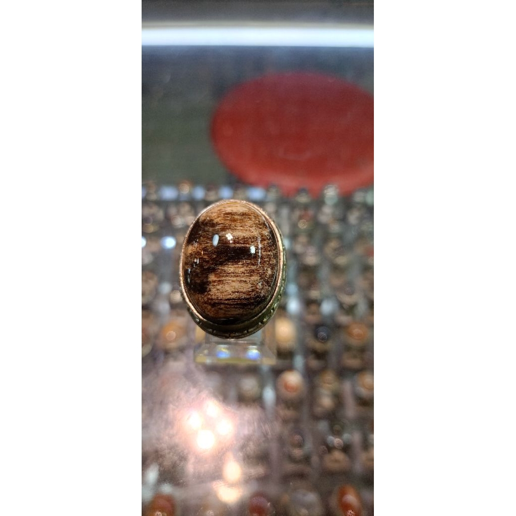 Cincin  batu Fosil kelor jumbo (Natural)