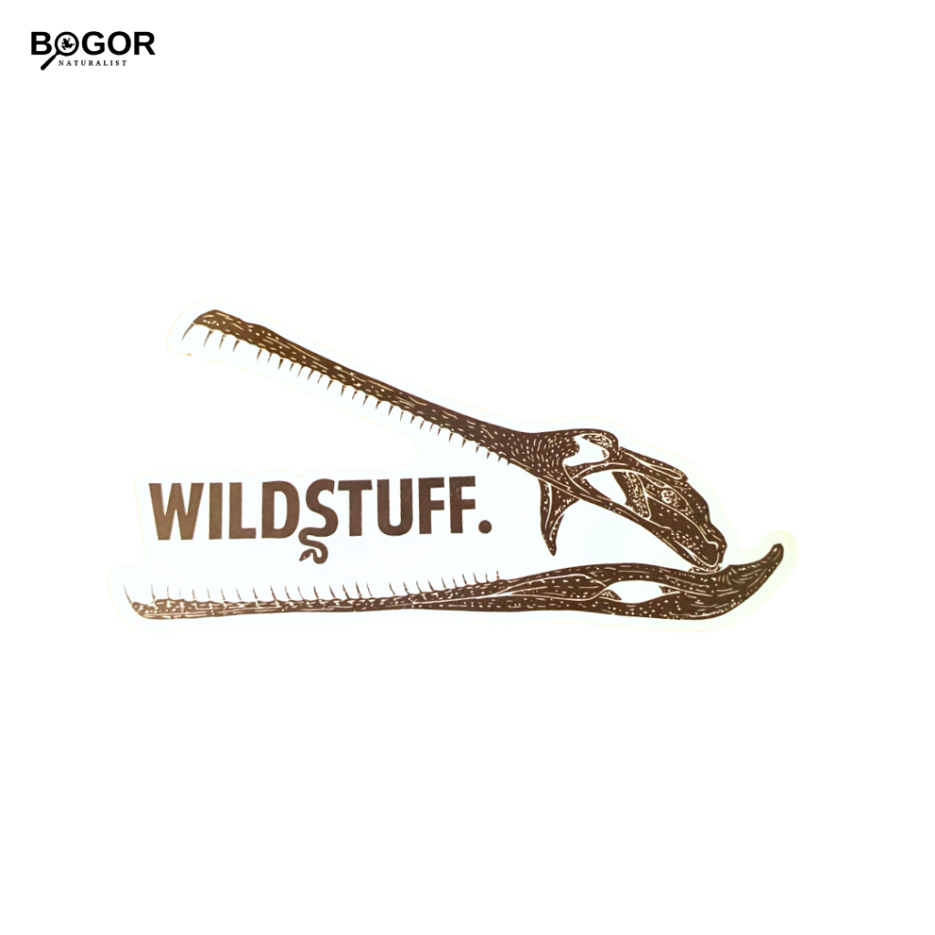 Stiker Wildstuff Tengkorak Buaya