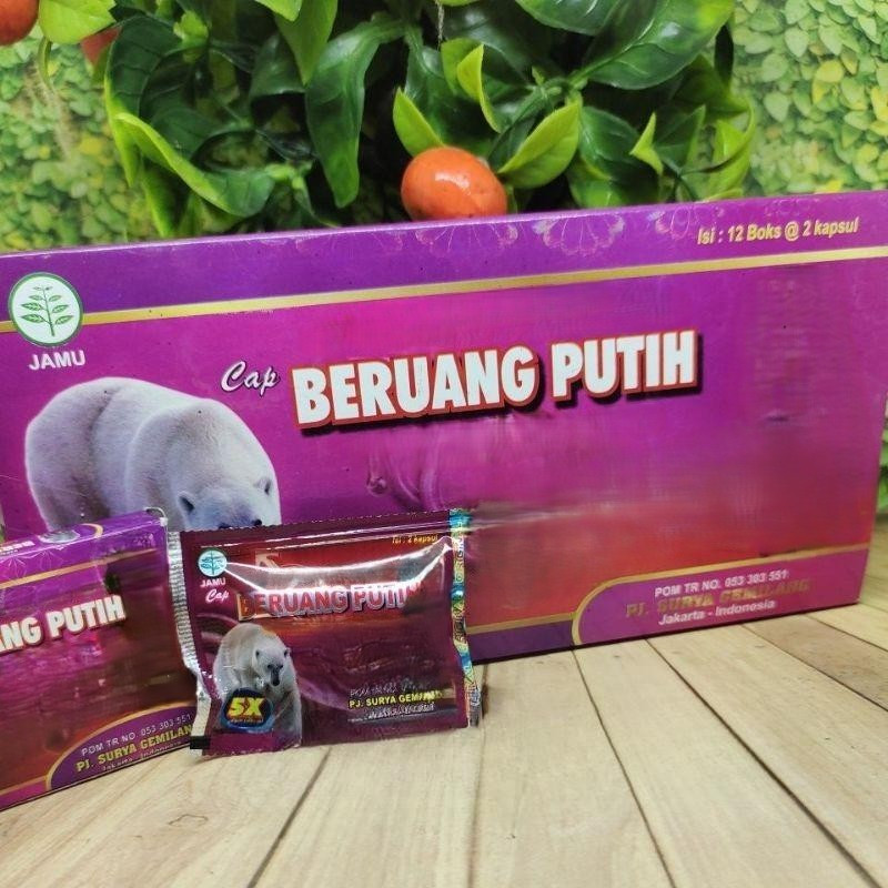 Beruang Putih
