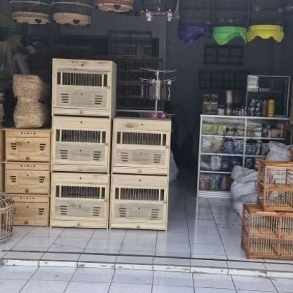 Kandang macan mini kandang merpati