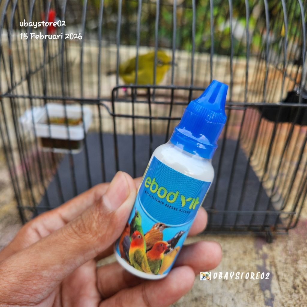 EBOD VIT ORIGINAL EBOD JAYA 30ml (Kemasan Terbaru)