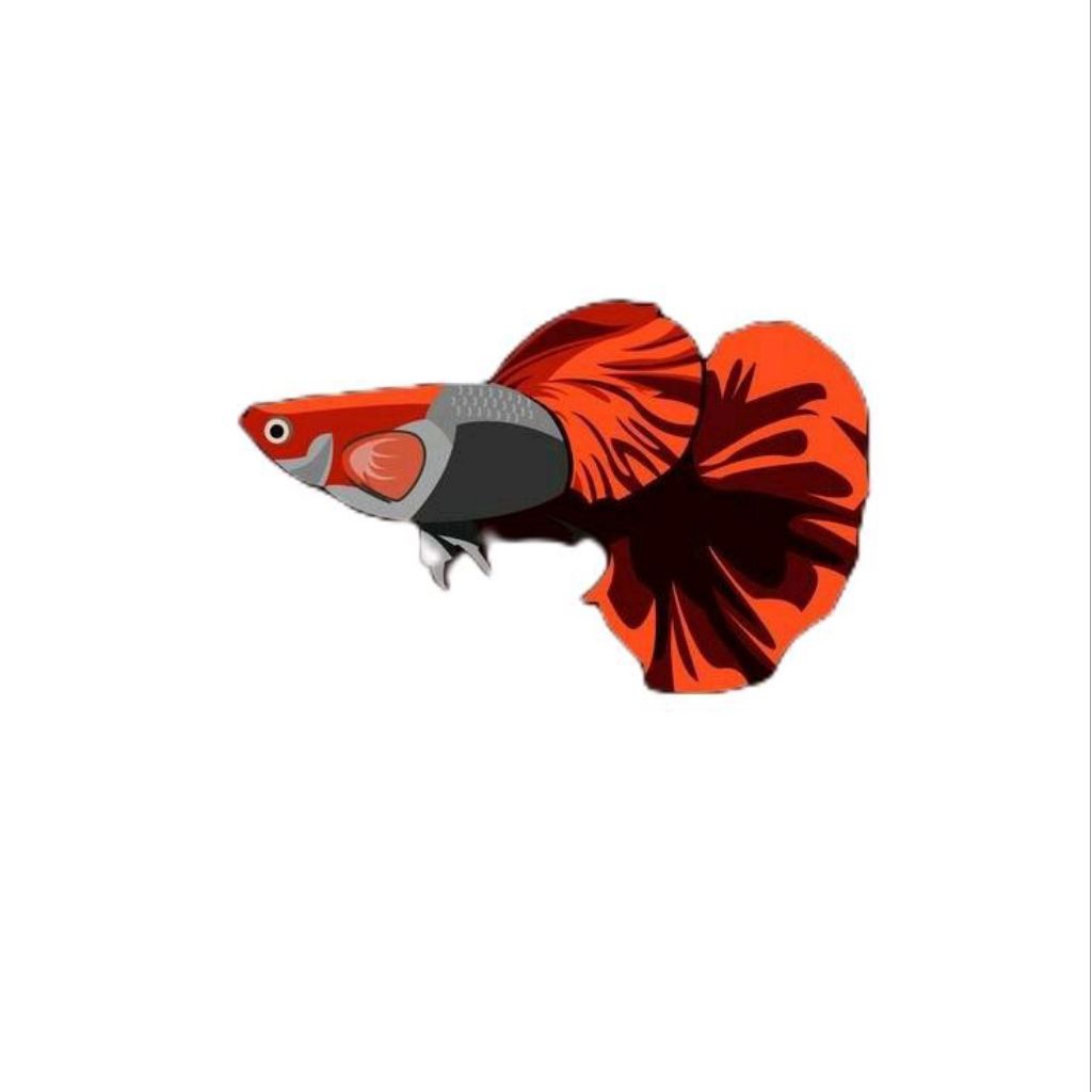 stiker guppy prtde hm