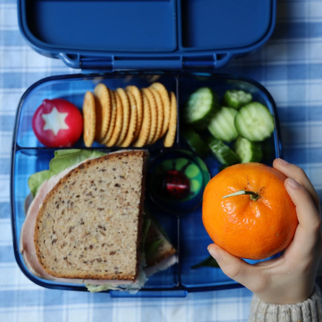 Yumbox Go Lunch Box - Tempat Bekal Makan Anak Dewasa Dengan 5 Sekat