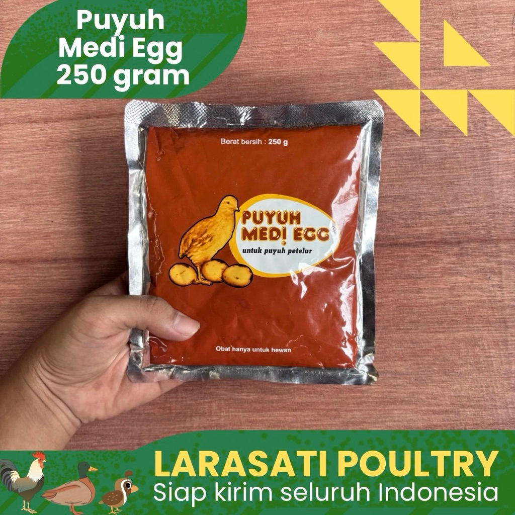 Puyuh medi egg 250 gram | Medi egg untuk puyuh | Stimulant puyuh