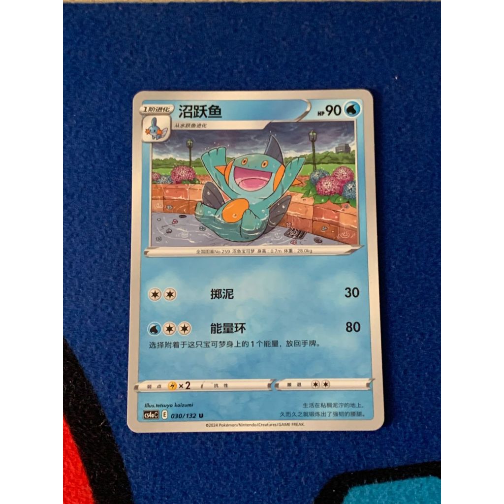 Marshtomp Pokemon Chinese