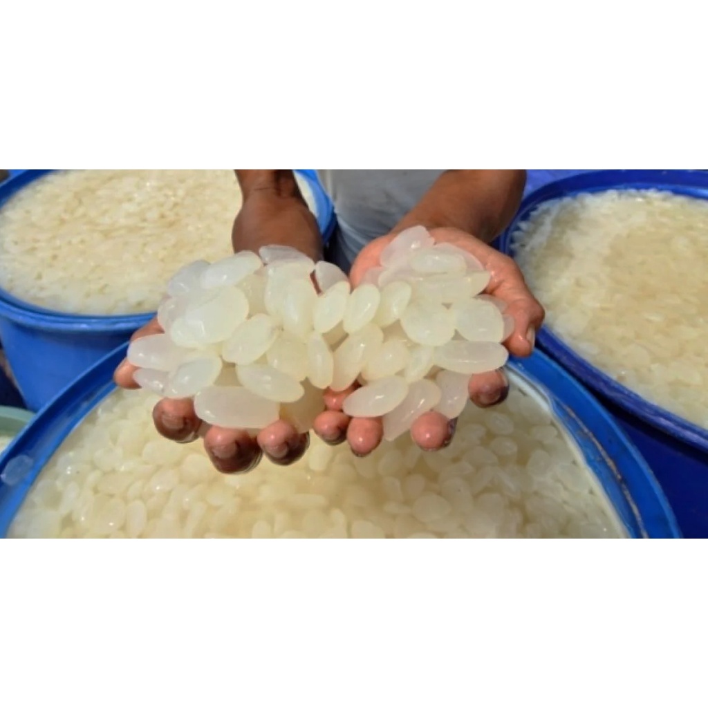 Kolang Kaling Super  - Alami, Tanpa Pengawet, Rasa Original