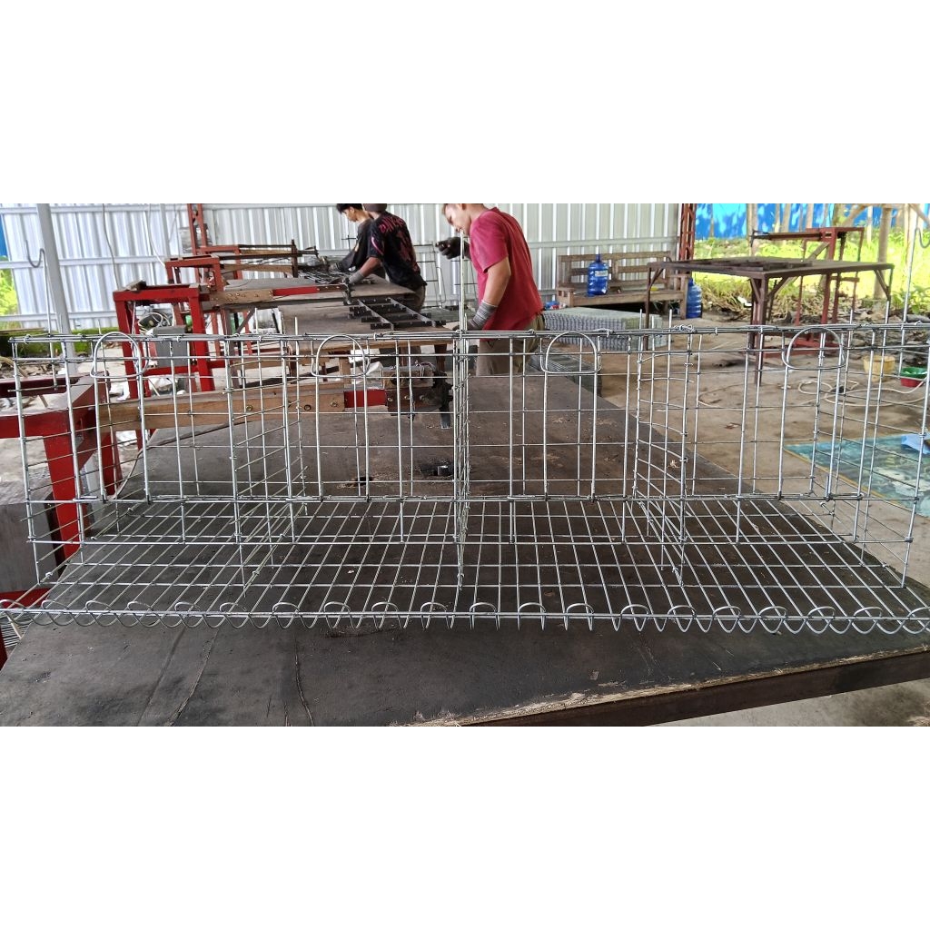Kandang Ayam Petelur Galvanish