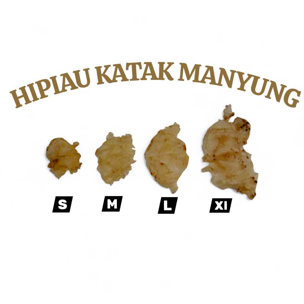 YI PHIAU PER 500GR HIPIAU PERUT IKAN KATAK MANYUNG MENTAH / FISH MAW/ GELEMBUNG IKAN