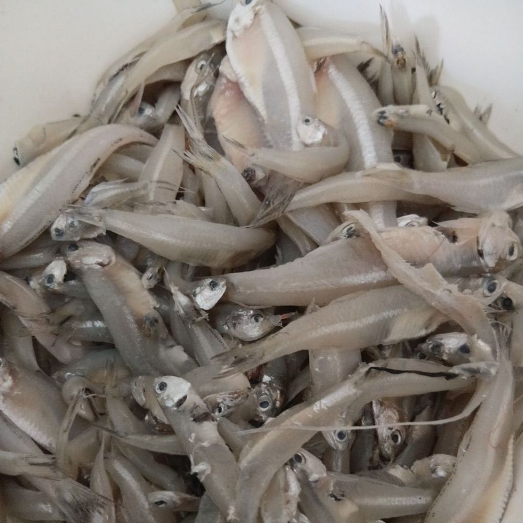 Wader Ikan Segar Bersih (by Grab/gojek/spx)