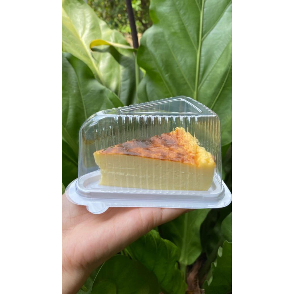 Burnt Cheesecake Slice