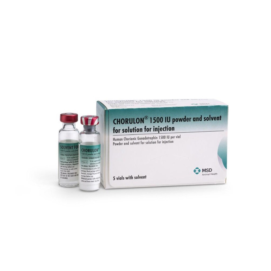 chorulon hcg