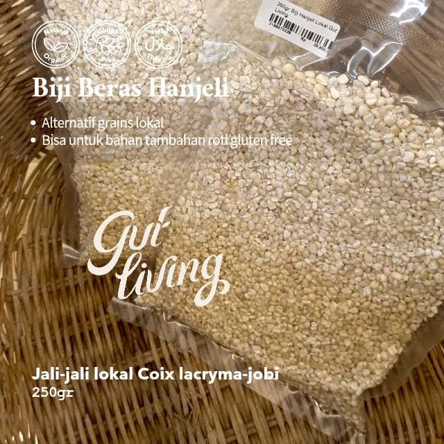 Hanjeli Jali Jali Lokal Biji Beras Tepung Natural Alami Gut Living