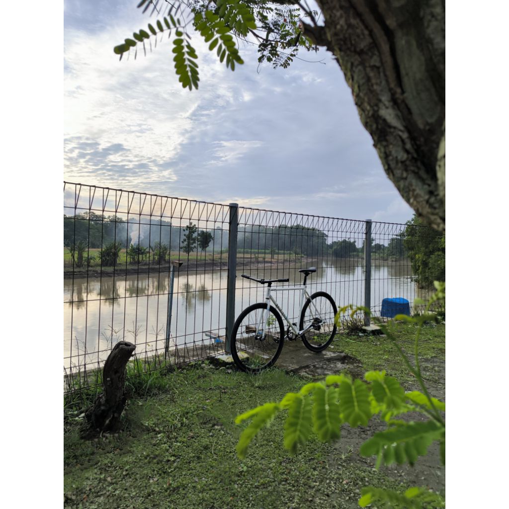 fixie soloist 01