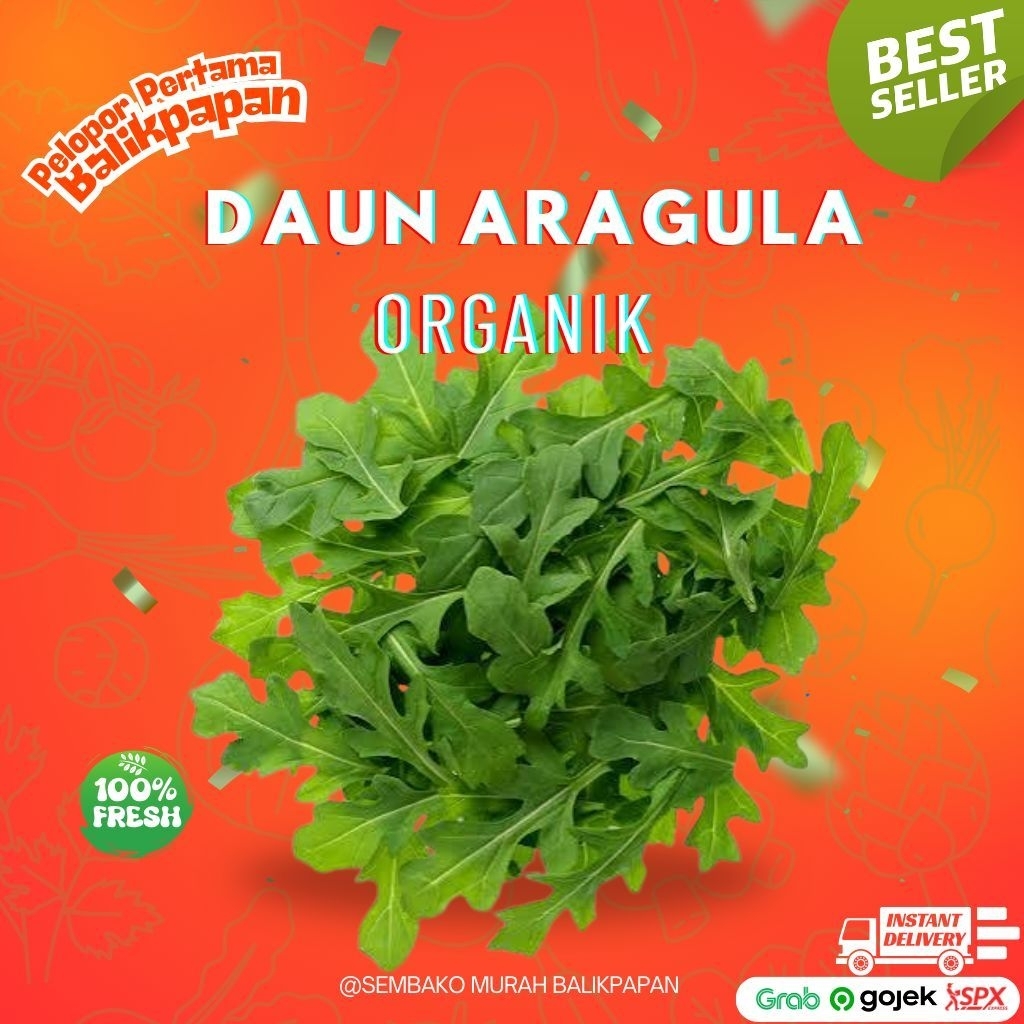Arugula Organik / wild rocket Fresh Per Pack