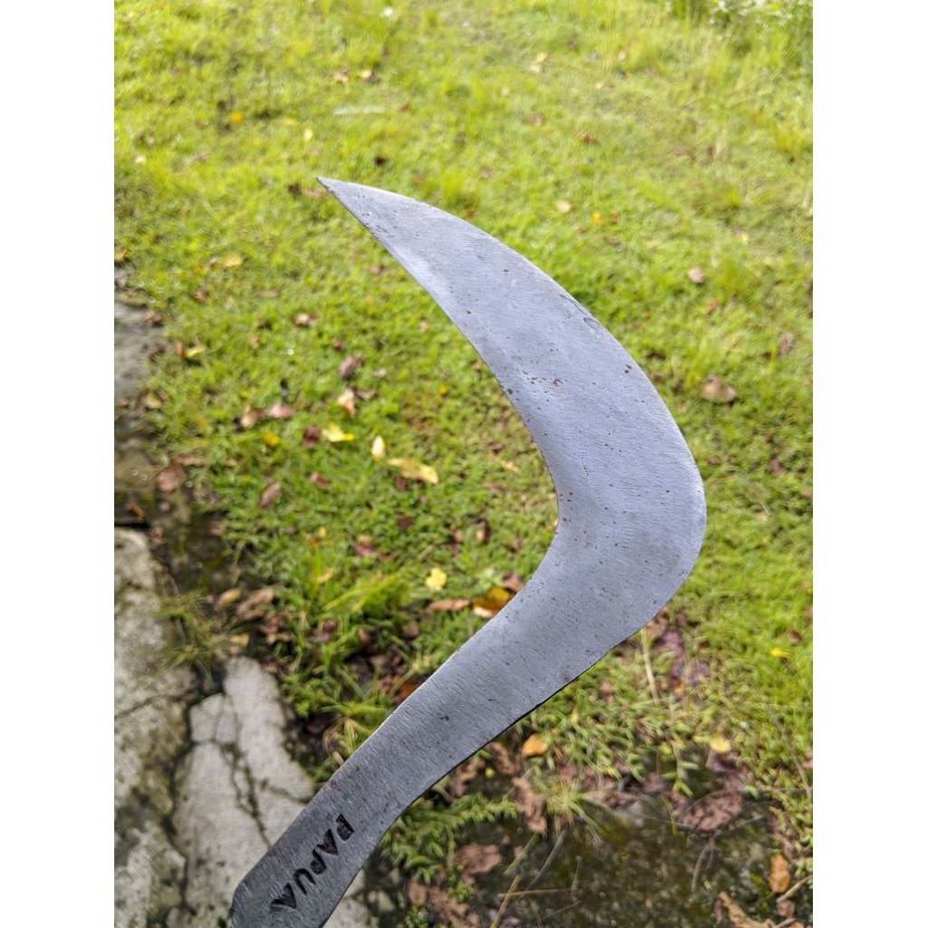 Sabit Celurit Arit Bahan Baja Pir Ukuran besar