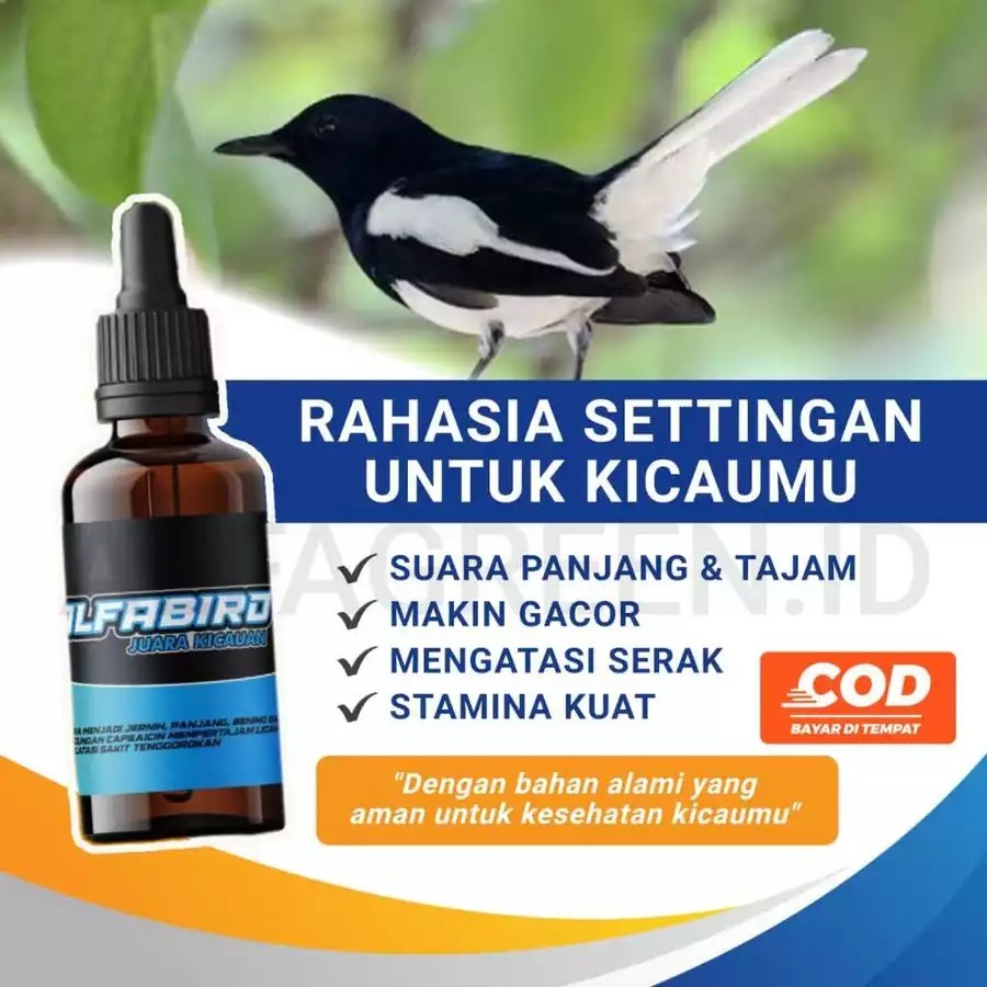 Vitamin Booster Penggacor Power Kicau Burung Seketika Meningkatakan Stamina