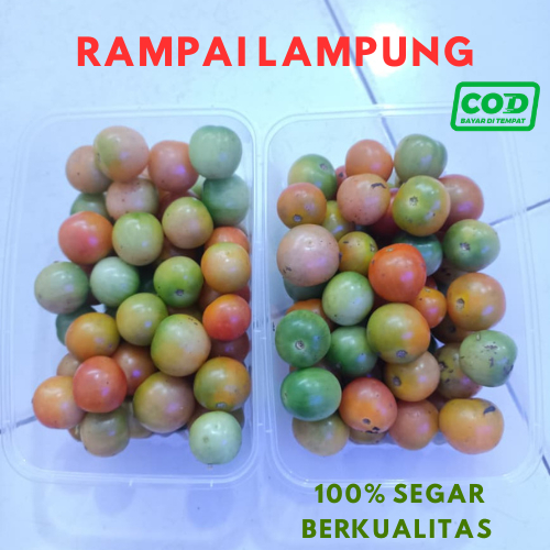 TERLARIS Rampai Khas Lampung - Cung Kediro Segar Tomat Rampai Sumatera (500gr)