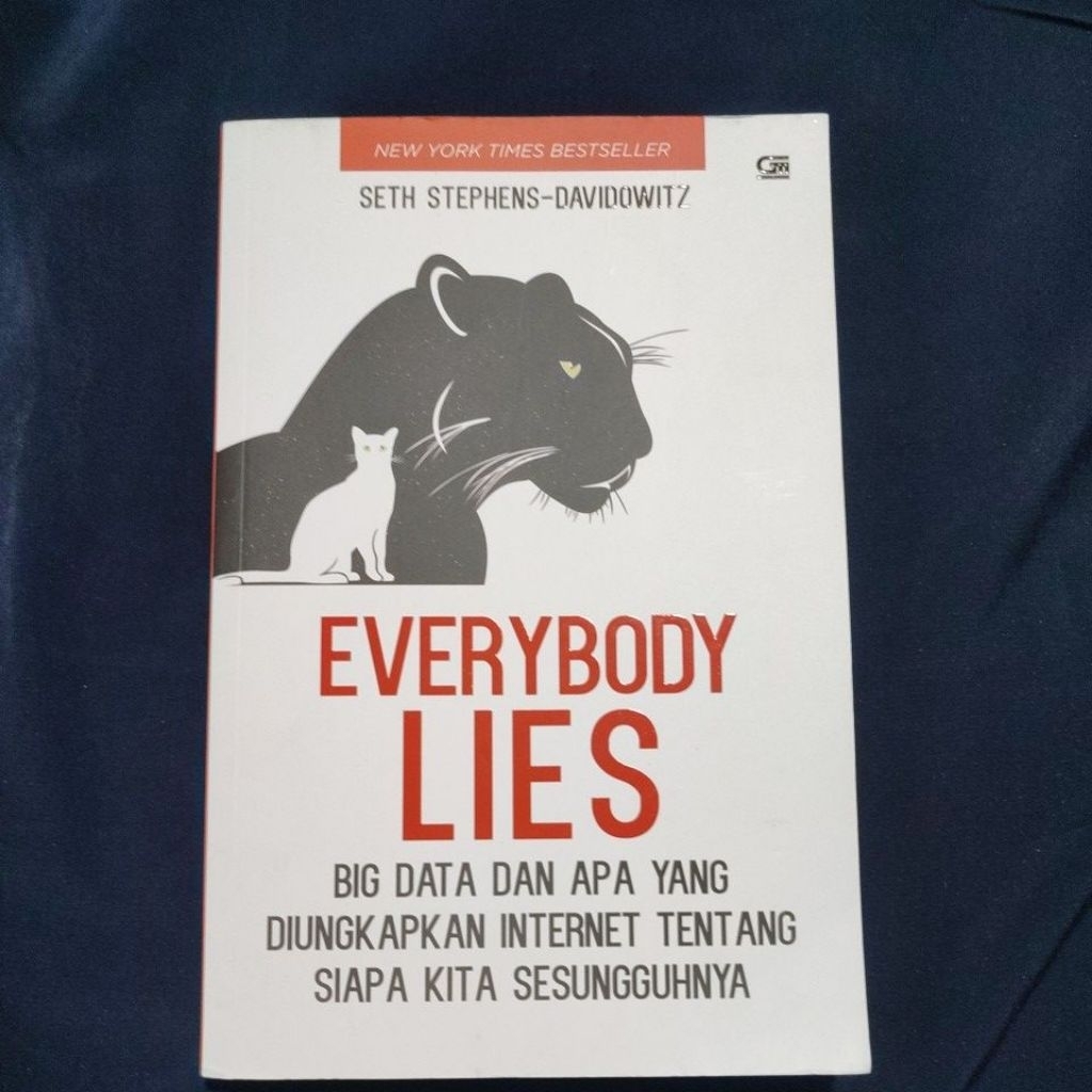 everybody lies by seth stephens davidowitz