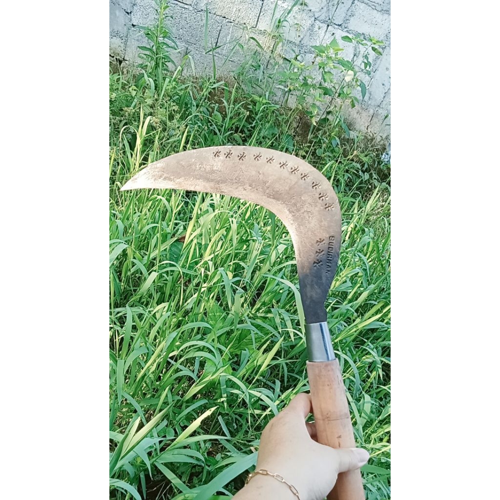 Arit isen asli Wonosobo