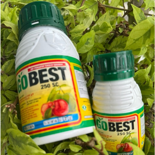 Gobest Perangsang Buah ZPT 250 Sc