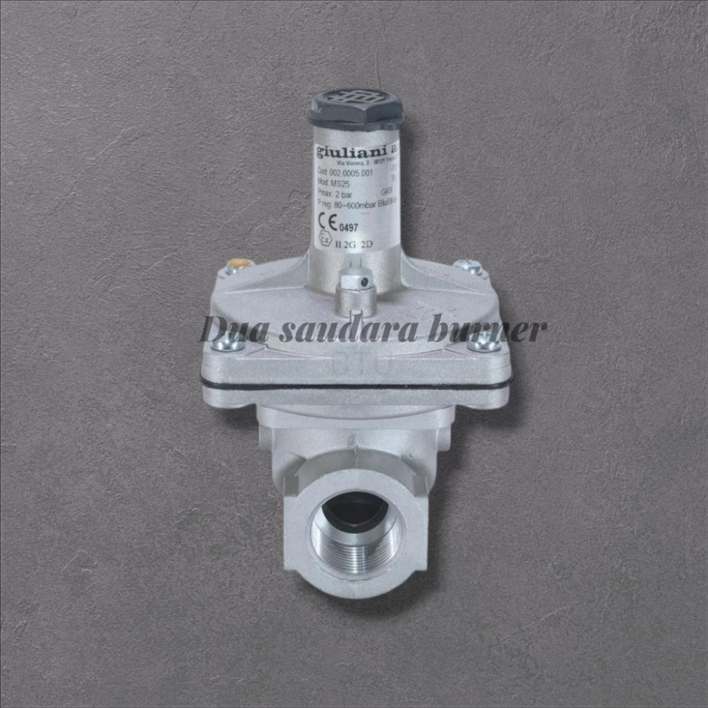 Gas Regulator MS25 GIULIANI ANELLO