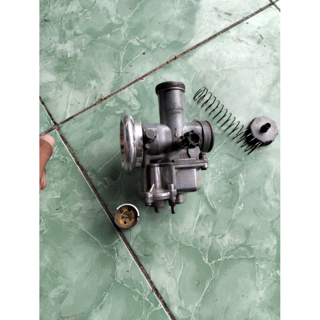 karbu tiger skepan rapi normal