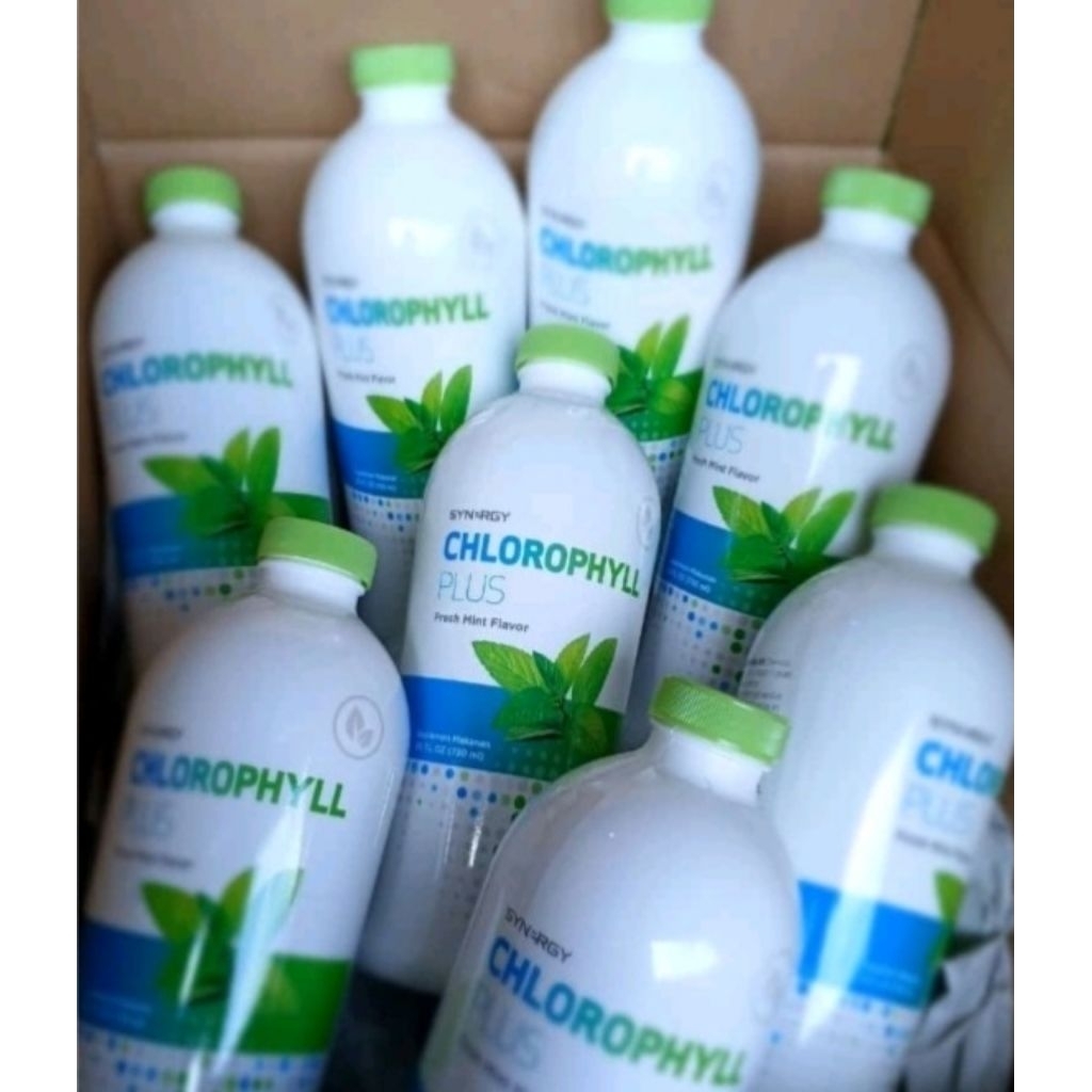 SYNERGY CHLOROPHYLL KLOROFIL PLUS 750 mL