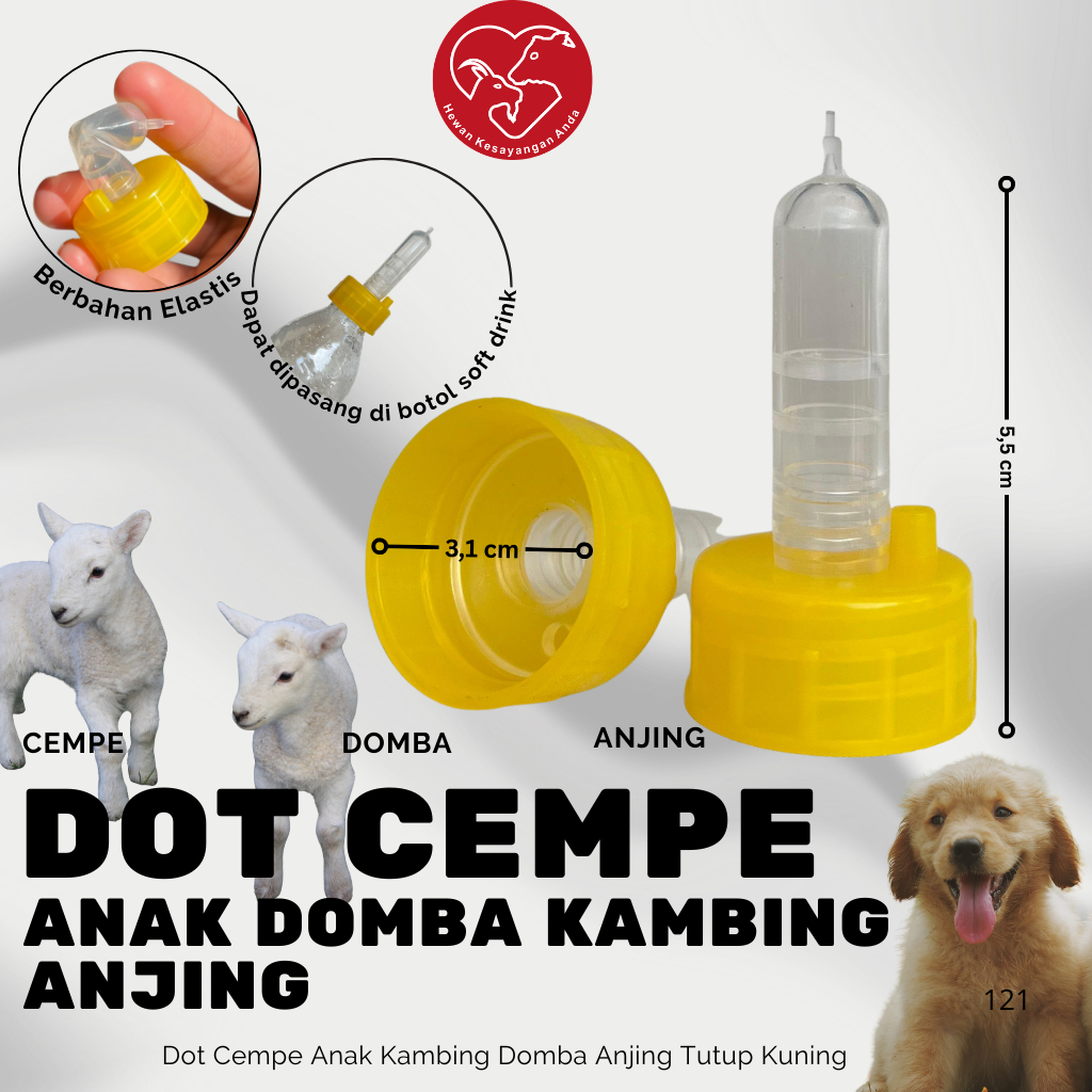 Dot Cempe Anak Kambing Domba Anjing Hewan Ternak Dot Cempe Tutup Kuning