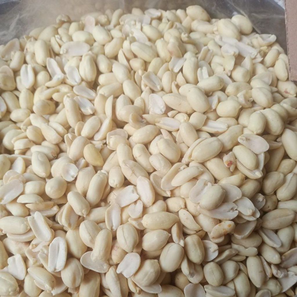 kacang kupas besar mentah