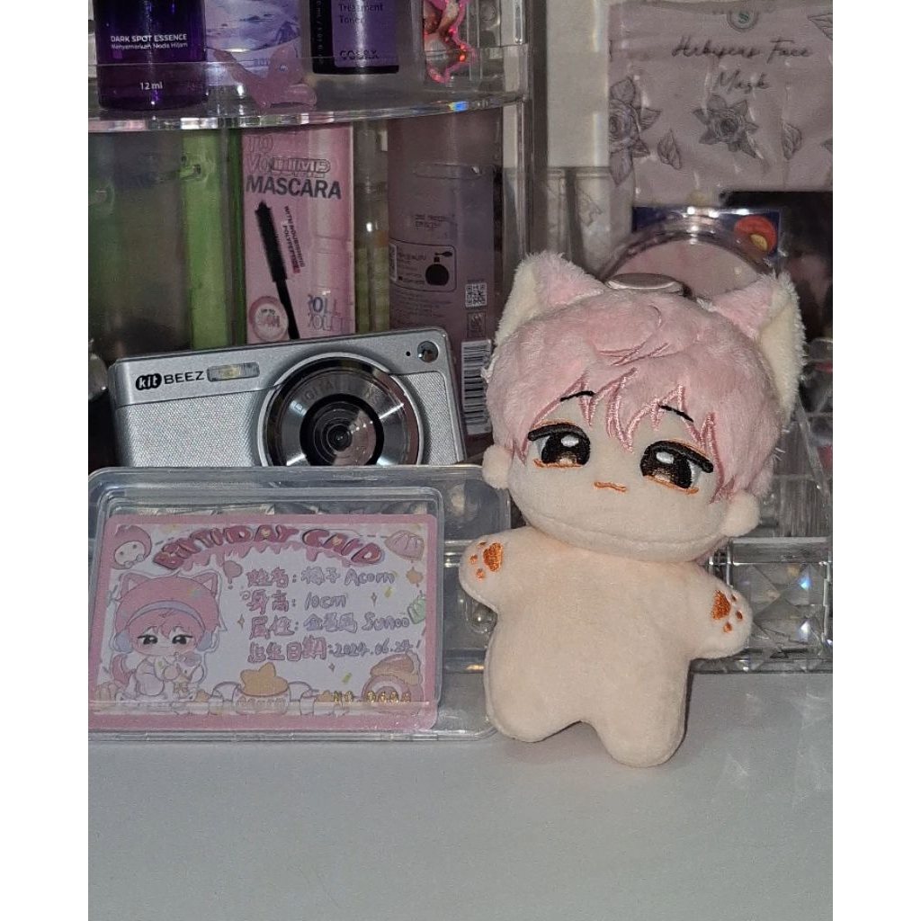 (Ready Ina) Sunoo Acorn Doll